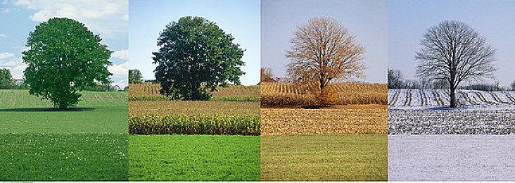 Xbox开发者直面会1月26日举行 《星空》不参展